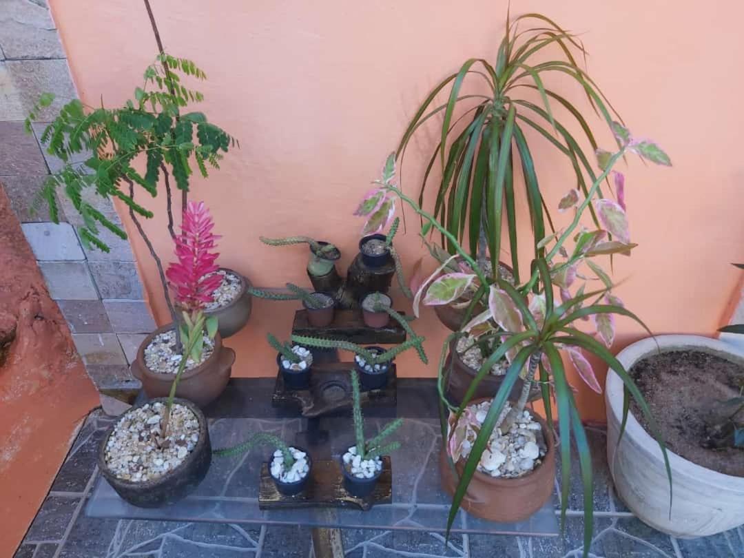 Pousada Terra Do Sol Pipa Praia de Pipa 外观 照片