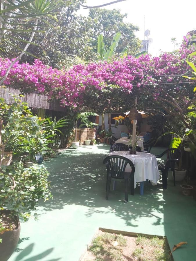 Pousada Terra Do Sol Pipa Praia de Pipa 外观 照片